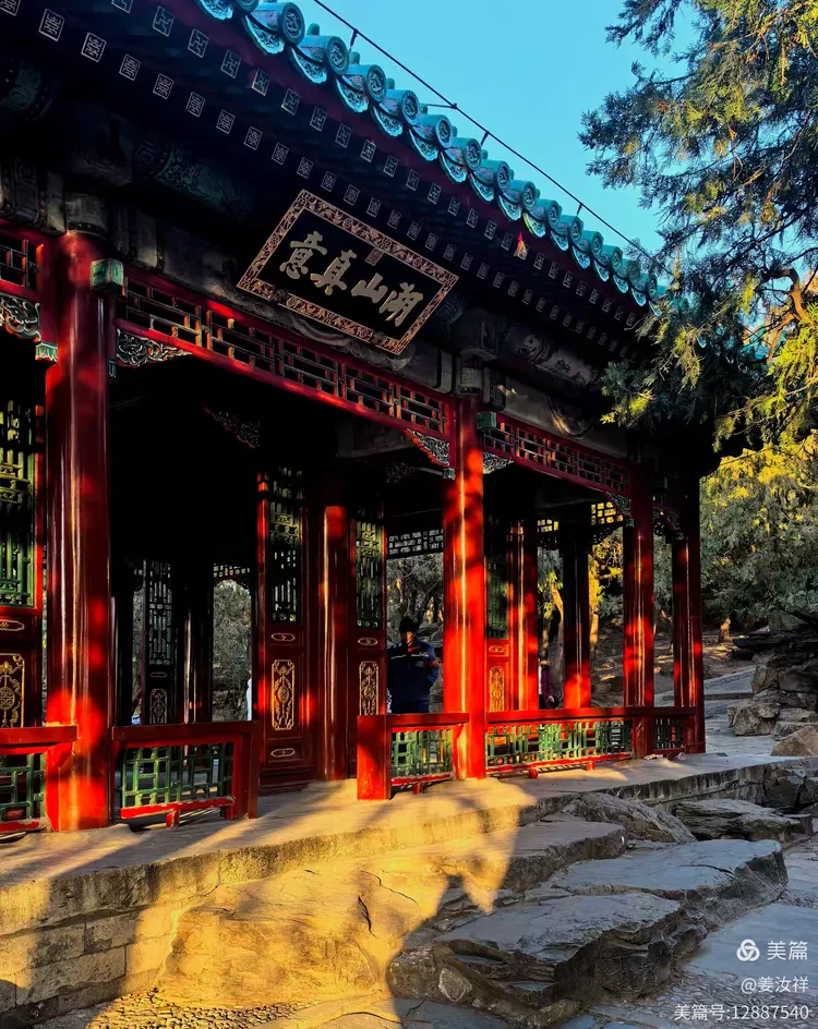 颐和园乐农轩腊梅与北麓景致